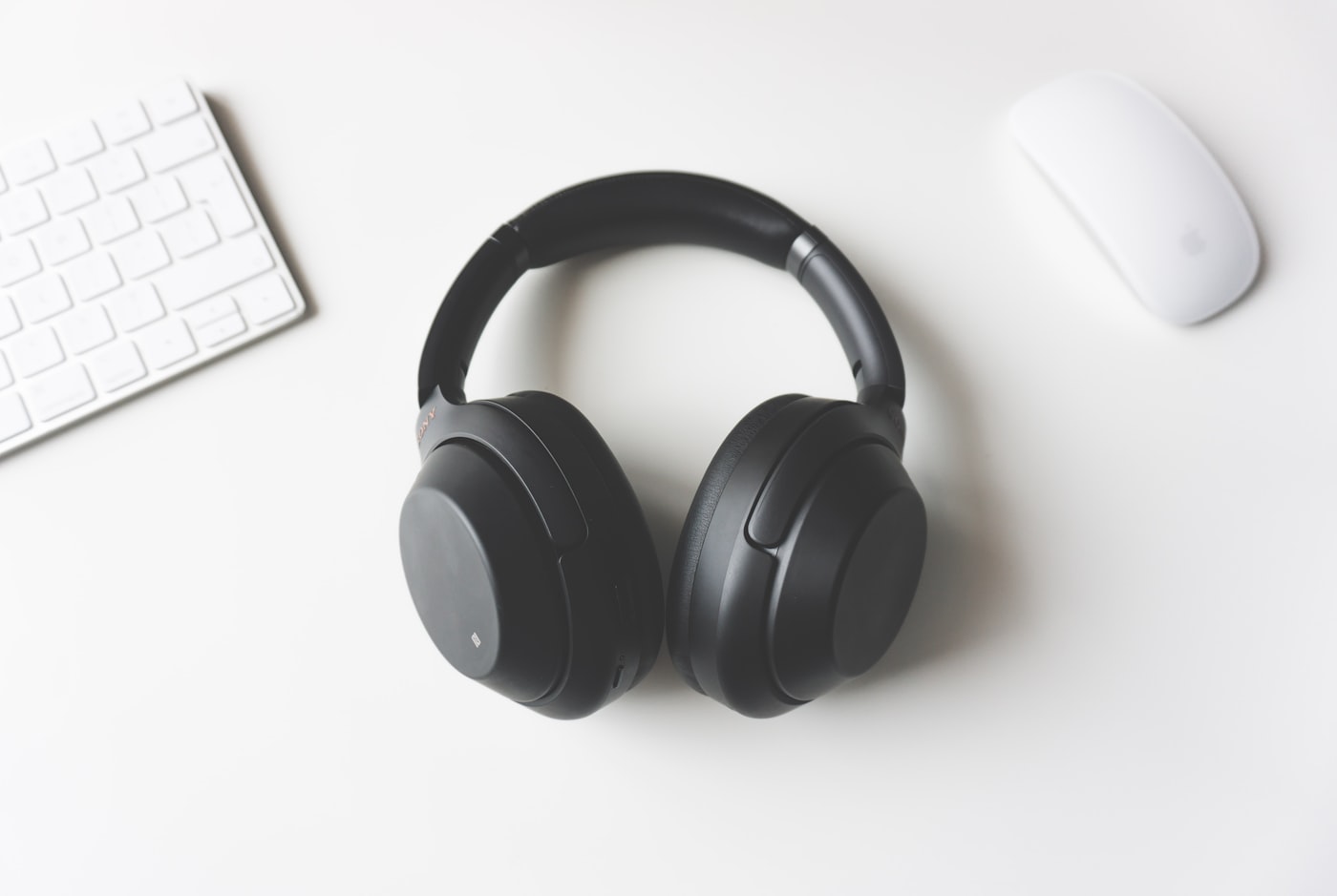 Sequoia headphones